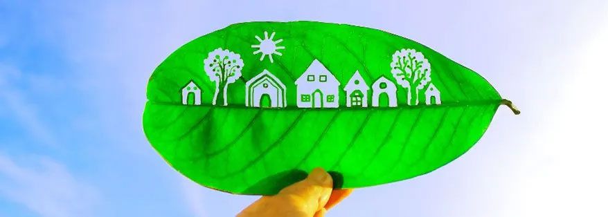 Eco Friendly Disposal Guide