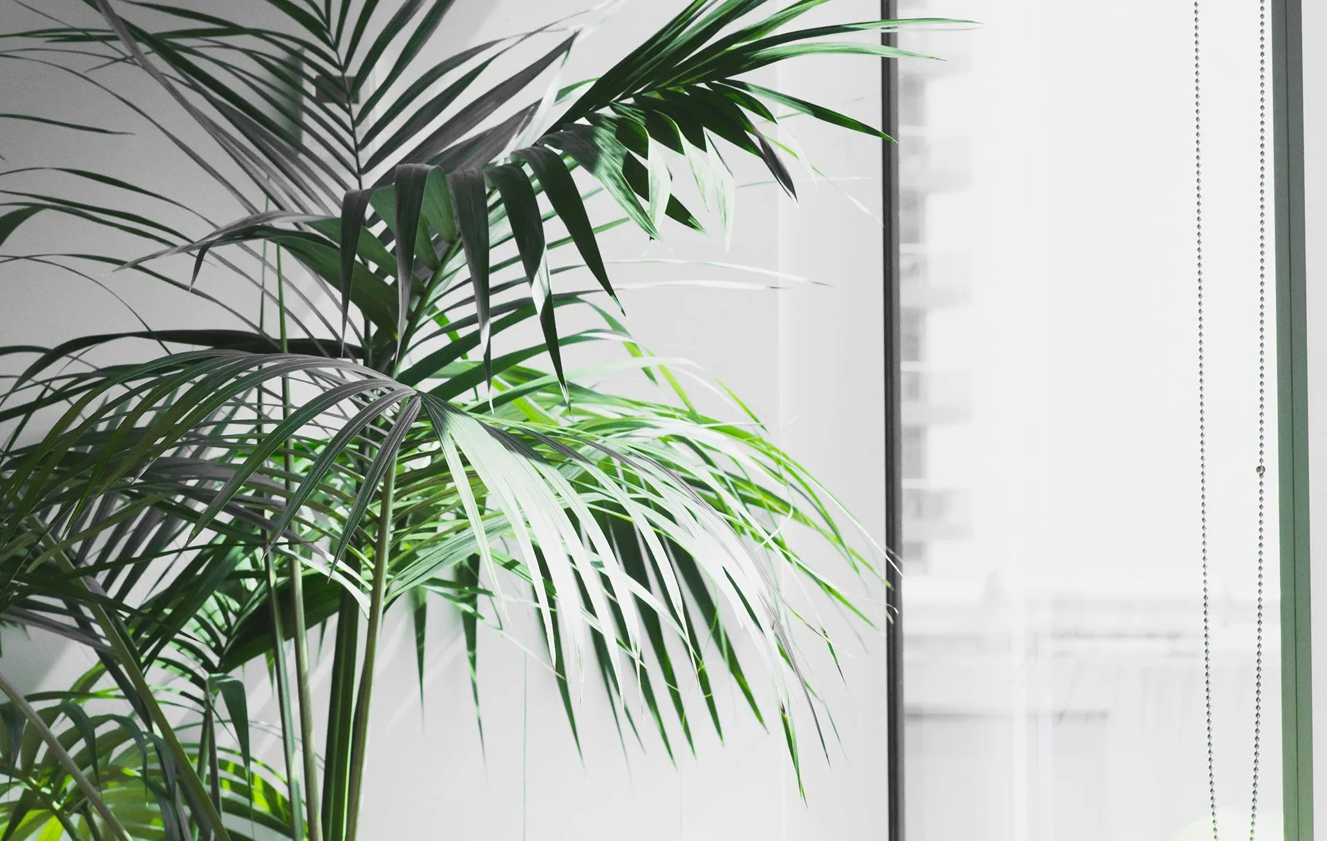 Blog 1 Richie Bros Junk Removal Blog