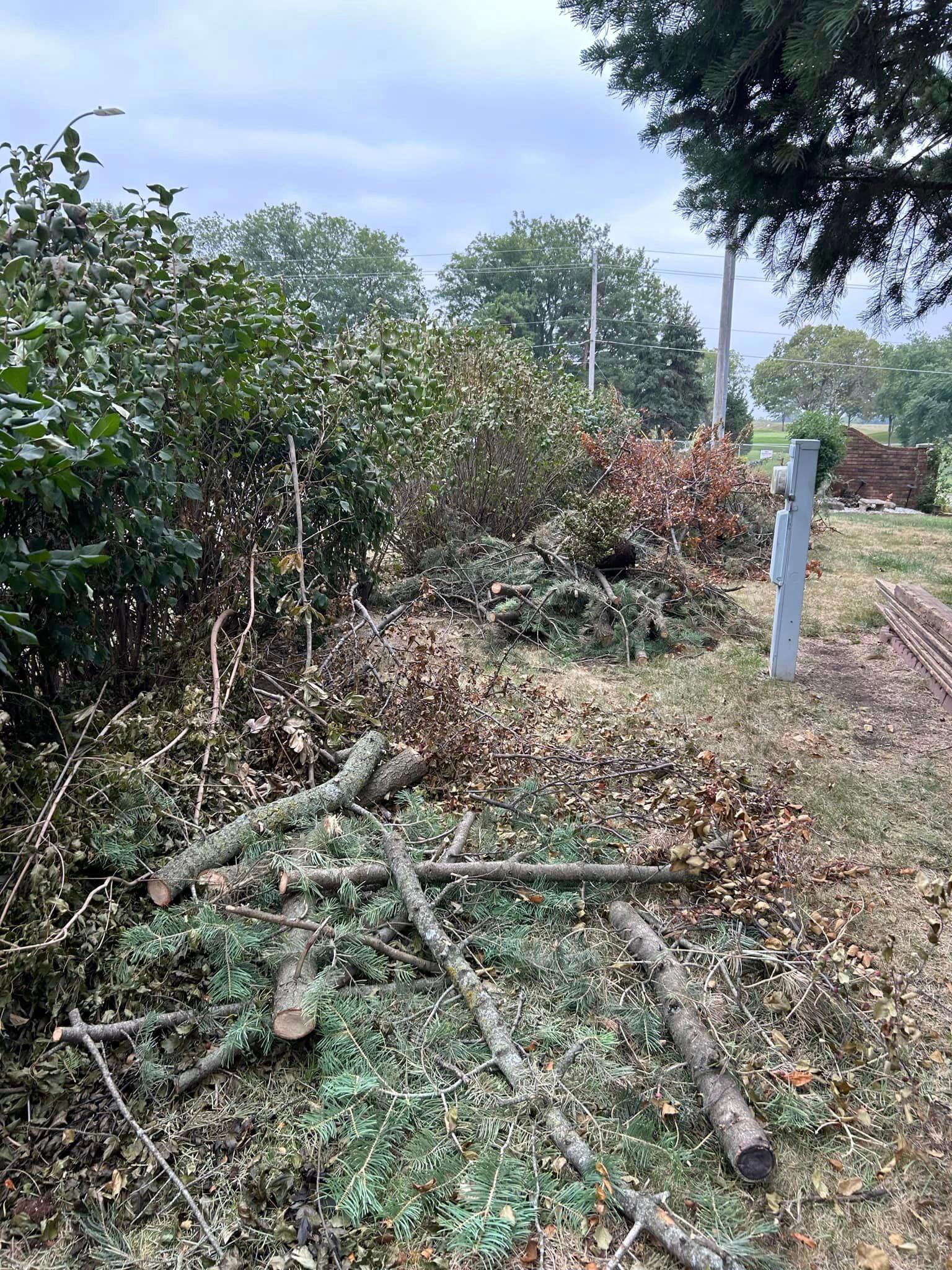 Emergency Tree Removal Urbandale